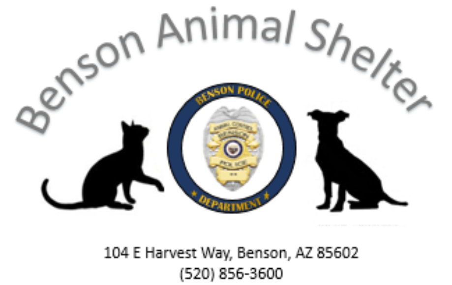 Benson Animal Shelter, Benson, Arizona